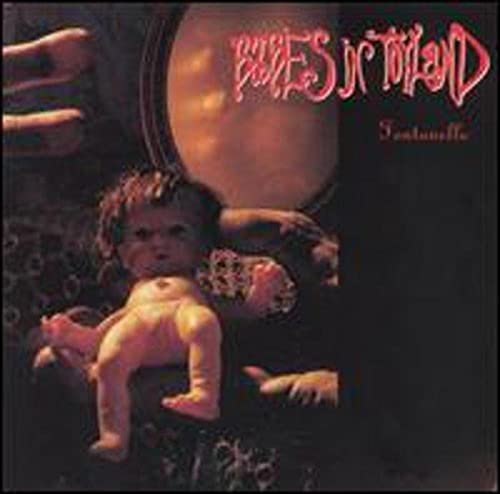 Fontanelle by Babes in Toyland album cover