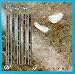 White Feathers
