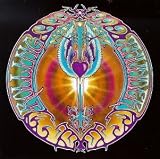 Rolling Thunder by Mickey Hart