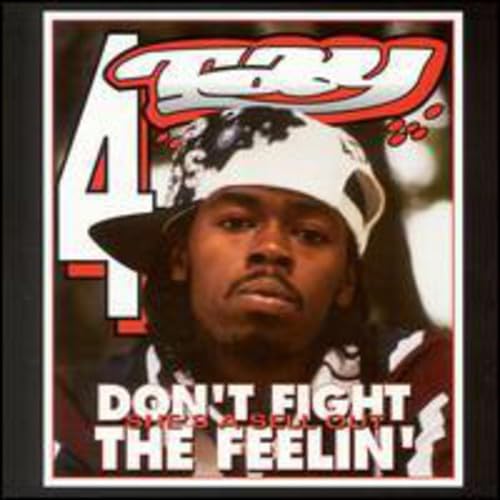 Don't Fight the Feelin' by Rappin' 4-Tay album cover
