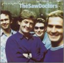 Sing a Powerful Song by The Saw Doctors