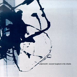 Second Toughest in the Infants by Underworld album cover