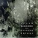 Susan McKeown - Bushes and Briars