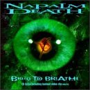 album art to Breed to Breathe