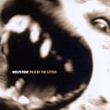 Wolfstone - Pick of The Litter Cover