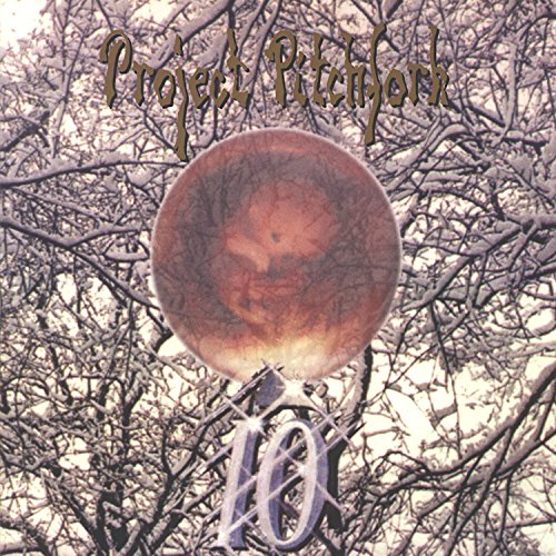 Project Pitchfork - Renascence Lyrics - Zortam Music