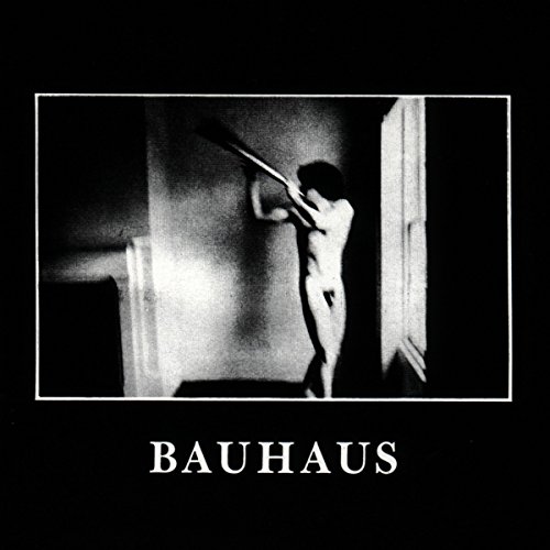 Bauhaus - In the Flat Field - Zortam Music