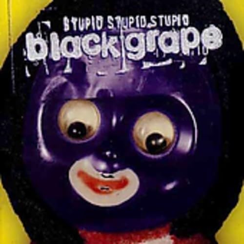 Black Grape - Stupid, Stupid, Stupid - Zortam Music