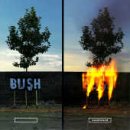 Bush - Swallowed