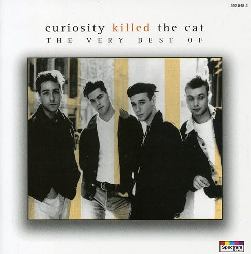 Curiosity Killed The Cat - Misfit Lyrics - Zortam Music