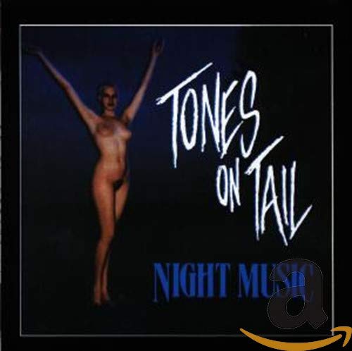 Tones On Tail - Heartbreak hotel (live) Lyrics - Zortam Music