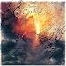 Fireships