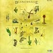 Mange Tout