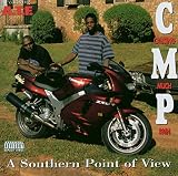A Southern Point of View by Pain