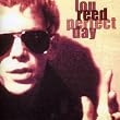 Perfect Day