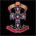 Appetite for Destruction