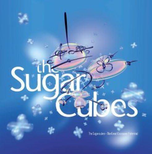The Sugarcubes - Birthday Lyrics - Zortam Music