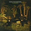 Evergreen + 10 Import by Echo And The Bunnymen
