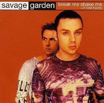 Break Me Shake Me