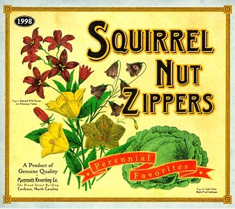 Squirrel Nut Zippers - My Drag Lyrics - Zortam Music