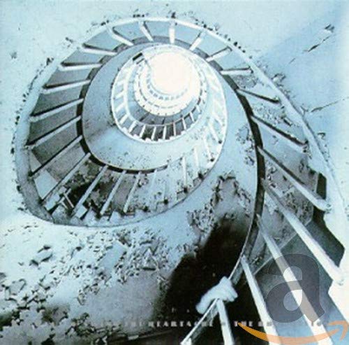 Bauhaus - Departure Lyrics - Zortam Music