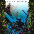 Better Days by Shawn Mullins