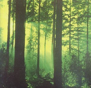 Forests Of Witchery