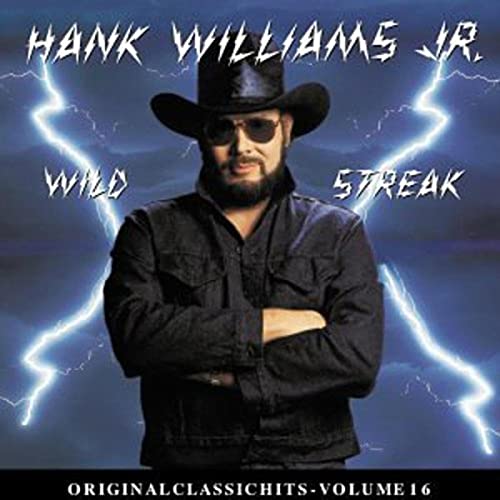 Hank Williams, Jr. - If the South Woulda Won Lyrics - Zortam Music