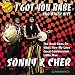 I Got You Babe & Other Hits