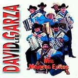 Mis Mejores Exitos by David Garza