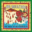 The Best of Big Mountain