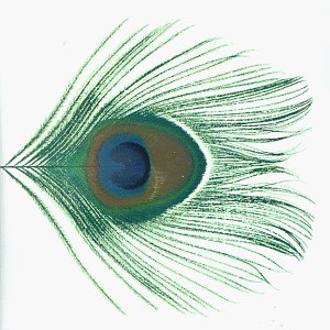 Apple Venus Volume 1 by XTC album cover