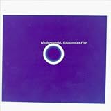 album art to Beaucoup Fish