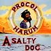 Salty Dog - Plus