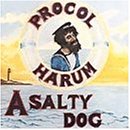 A Salty Dog