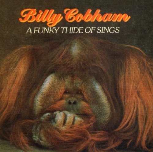 Billy Cobham - A Funky Thide Of Sings - Zortam Music