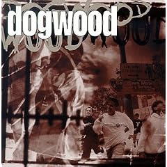 Dogwood&nbsp;-&nbsp;More than Conquerors
