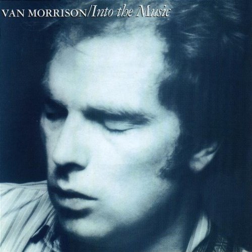Into The Music by Van Morrison album cover