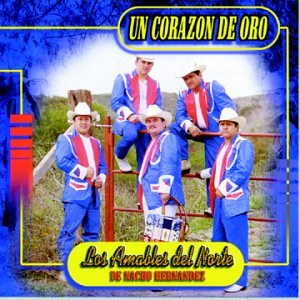 Un Corazon de Oro