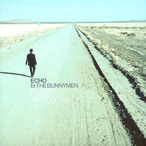 Echo & the Bunnymen - What Are You Going To Do With Your Life? - Zortam Music