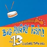 The 13 Electric Turn Ons by Big Angry Fish
