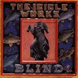 Blind by The Icicle Works