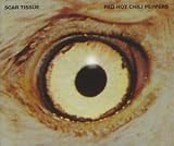 Red Hot Chili Peppers - Scar Tissue / album cover art