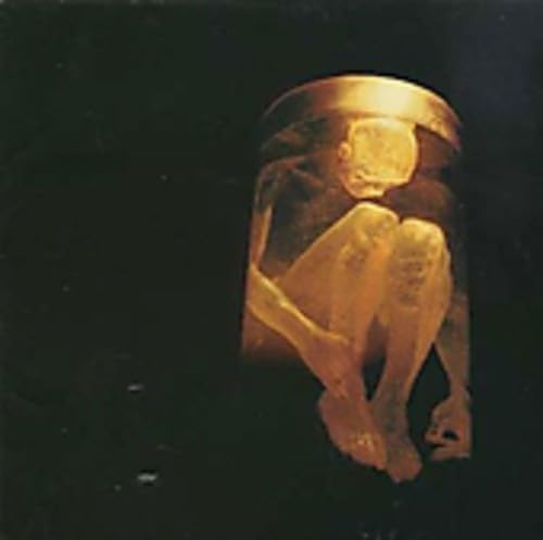 Alice In Chains - Get Born Again Lyrics - Zortam Music