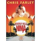 Beverly Hills Ninja by 
