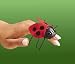 Folkmanis Mini Ladybug Finger Puppet