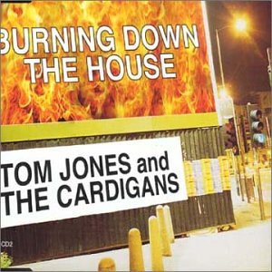 Tom Jones - Burning Down the House - Zortam Music