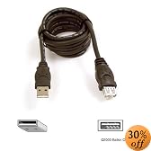 Belkin F3U134-10 USB Extension Cable (10-Feet)