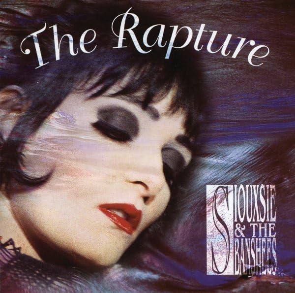 Siouxsie and the Banshees - Not Forgotten Lyrics - Zortam Music
