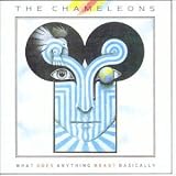What Does Anything Mean? Basically by The Chameleons